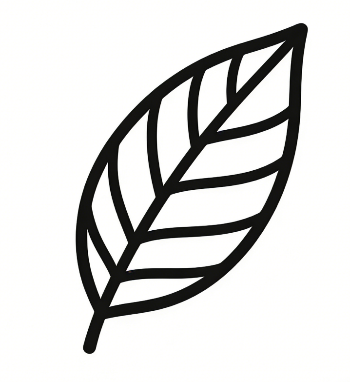 Simple leaf drawing idea