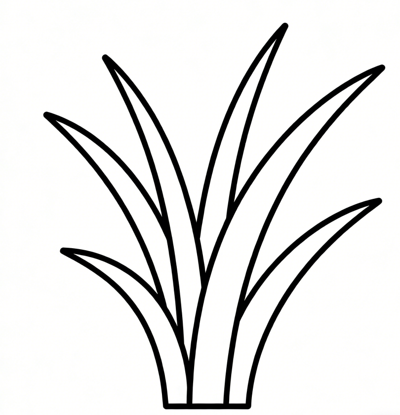 Grass blade drawing idea