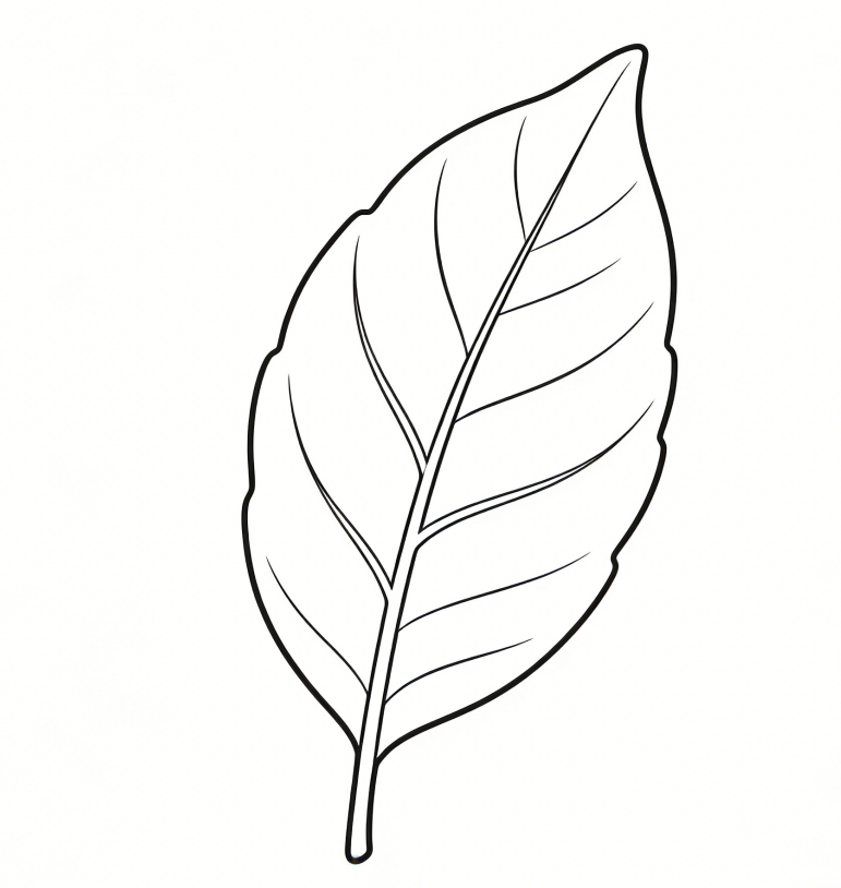 Leaf outline drawing idea
